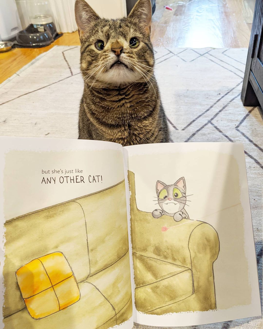 Maya poses with inside Meet Maya Cat book